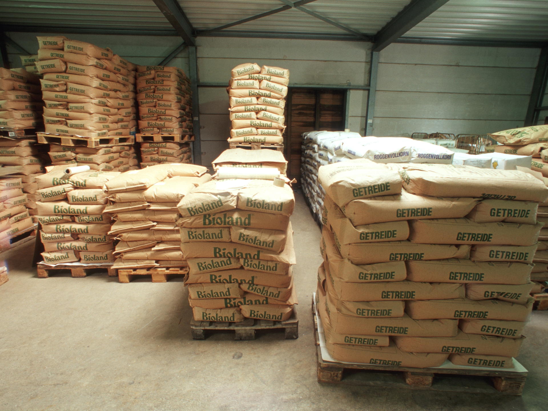 016 Marktfrucht Ts (1) Kleiner