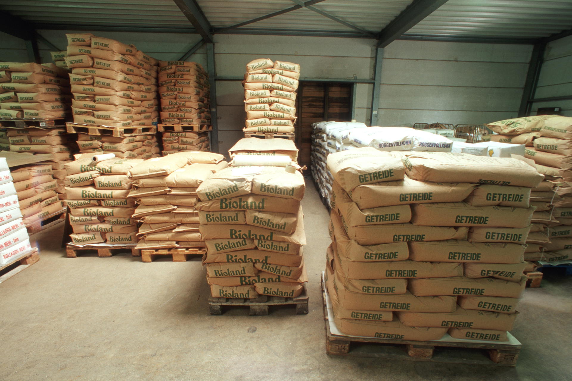 016 Marktfrucht Ts (1) Kleiner