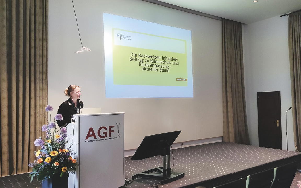 Der Veranstaltungssaal im Roemer-Haus