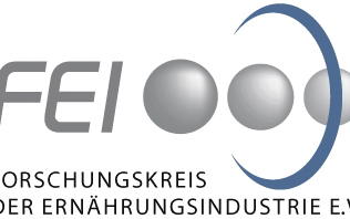 logo fei name unten