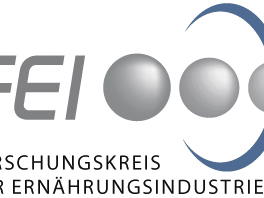 logo fei name unten