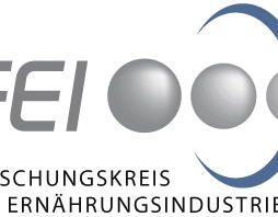 logo fei name unten